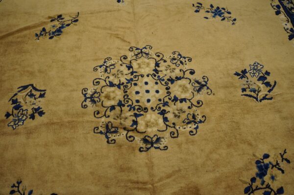 Tan rug texture showcasing blue and cream floral designs surrounding an ornate central motif.