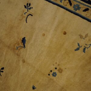 A close view of a textured tan rug field showing blue flowers and a navy patterned border.