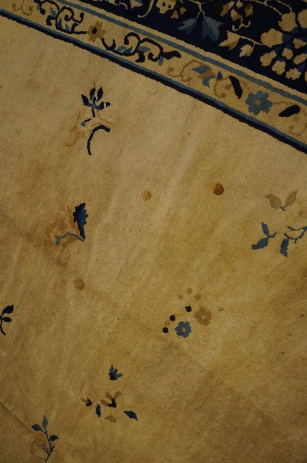 A close view of a textured tan rug field showing blue flowers and a navy patterned border.