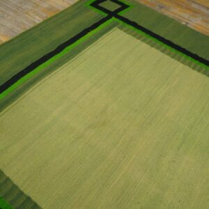 Geometric light and dark green flatweave rug with sharp black stripes shown on distressed plank flooring.
