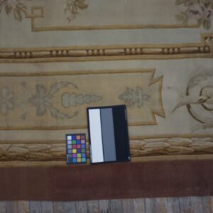 Close-up of an ornate beige rug with gold classical patterns and floral accents, shown with calibration charts.