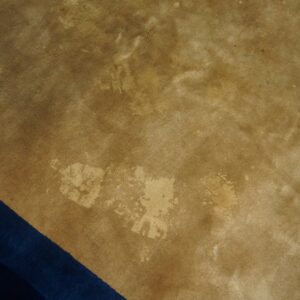 Distressed tan rug field with visible color variations borders a dark blue patterned section.