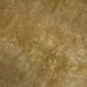 The tan, low-pile rug surface shows wear marks and a small dark blue and purple floral design in the corner.