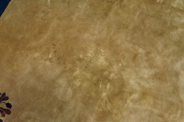 The tan, low-pile rug surface shows wear marks and a small dark blue and purple floral design in the corner.