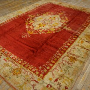 Red and cream patterned area rug featuring a central medallion rests on rustic wood plank flooring.