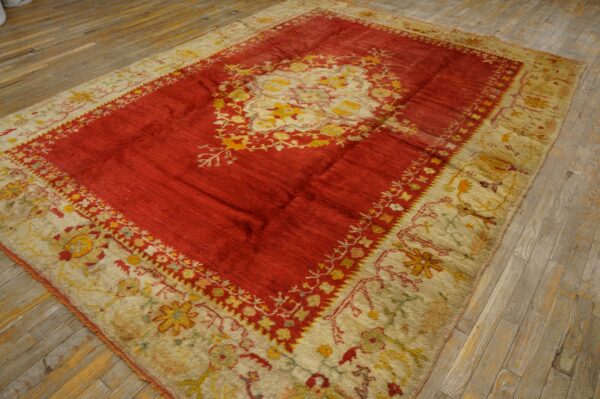 Red and cream patterned area rug featuring a central medallion rests on rustic wood plank flooring.
