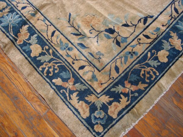 Ornate tan rug with dark blue borders featuring floral motifs on rustic wood floors.