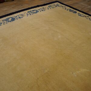 Tan rug with a deep blue decorative border resting on light brown wood plank flooring.