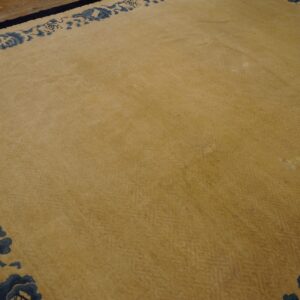 Tan high-pile rug with a subtle field texture and a prominent indigo blue floral border on wood floors.