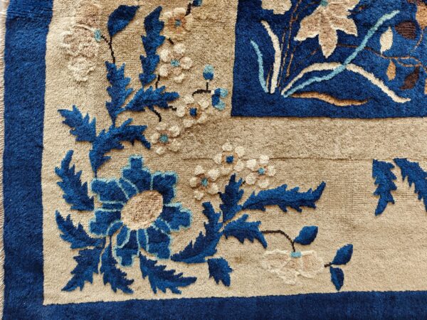 High-pile rug corner showing contrasting blue floral design on a beige field with a dark blue frame.