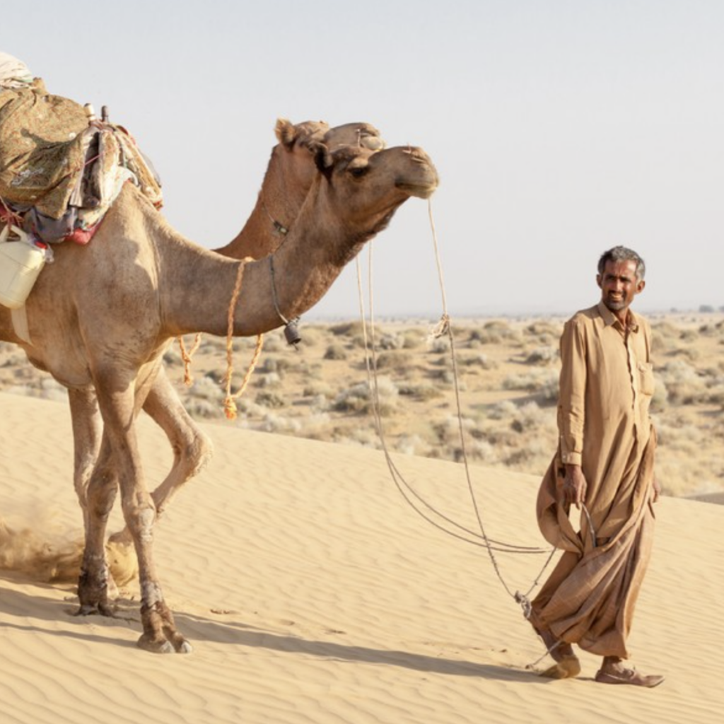 Man walking with camel in desert