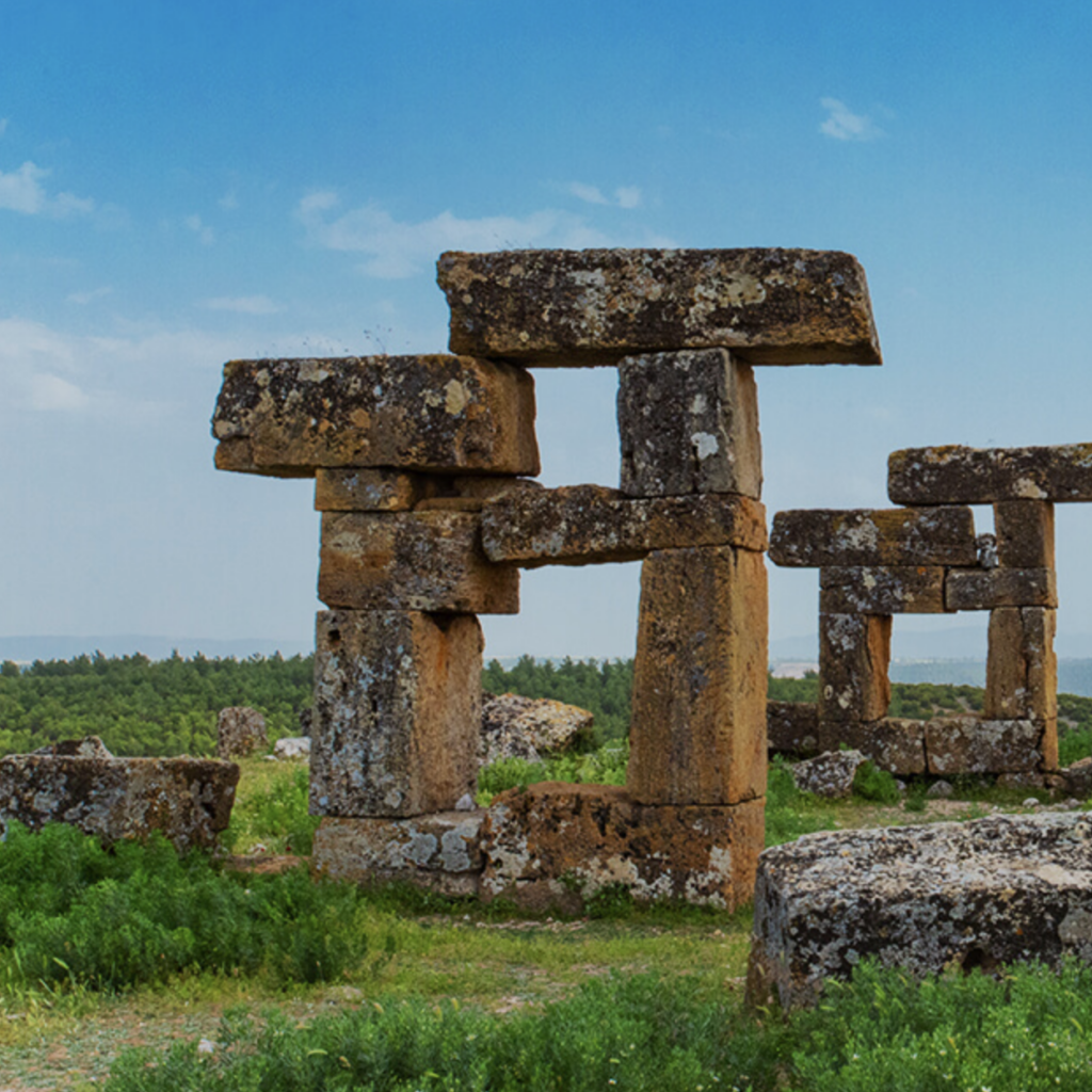 Ancient stone ruins in green landscape