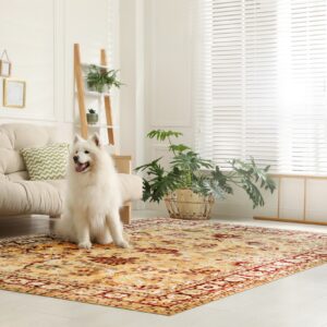 A white dog sits on a low-pile traditional gold and red rug in a bright, minimalist living room.