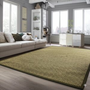 A khaki rug with a woven geometric pattern and dark green border anchors a modern living room with gray walls.