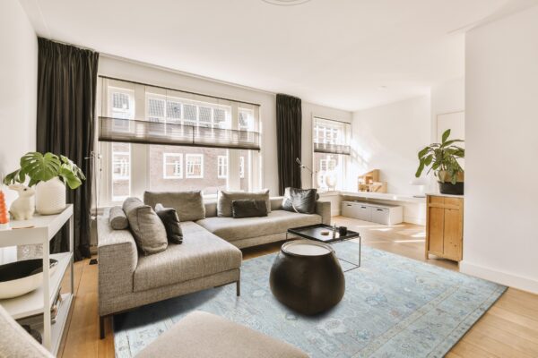 Light blue patterned rug under a gray sectional sofa in a sunlit modern living room with wood floors.