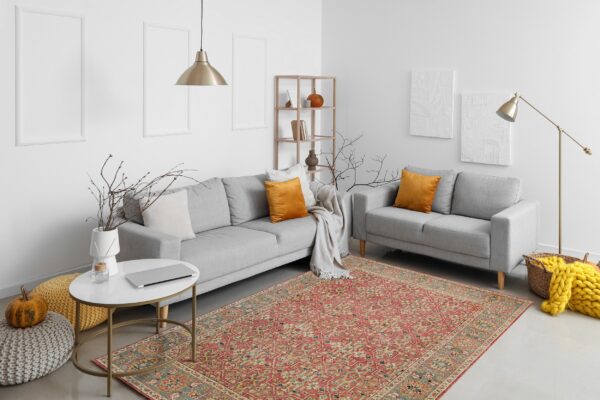 Traditional rust-red and teal patterned rug under gray sofas in a bright, modern living room setting.