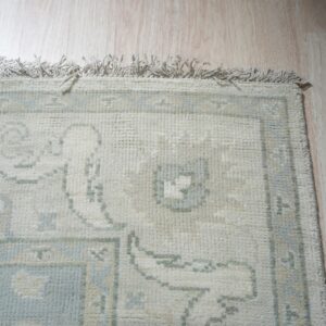 Muted cream and light blue traditional pattern rug with fringes on light blonde plank flooring.