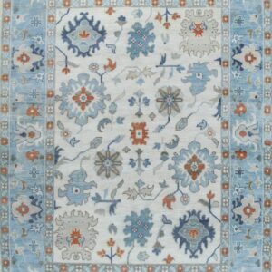 A cream-field rug with light blue borders and a transitional floral pattern accented with rust and gray.