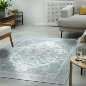 Light blue and grey traditional area rug centered between a beige sofa and a wooden armchair on plank flooring.