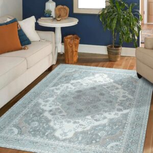 Pale blue and gray traditional rug centered on hardwood floors in a room with a cream sofa and navy wall.