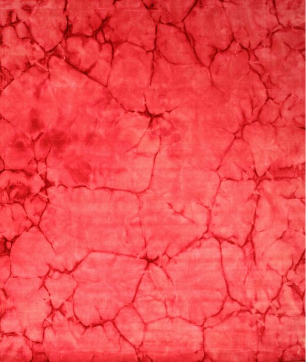 Plush red rug with an abstract crackle pattern defined by thin dark maroon lines.