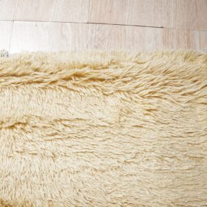 The edge of a pale yellow, long-pile shag rug rests on light blonde wood planks.