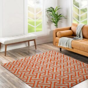 Gray and orange geometric rug in a bright room with a tan leather couch and wood plank floor.