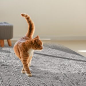 An orange cat walks across a textured grey and white geometric pattern rug in a sunny room.
