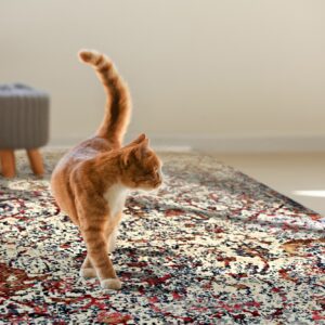 Orange cat on a cream abstract rug with red, blue, and tan spots, set in a sunny living area.