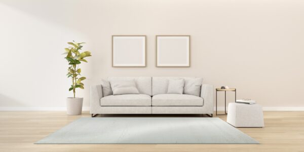 A light blue textured area rug anchors a minimalist room with a gray sofa and wood floor.