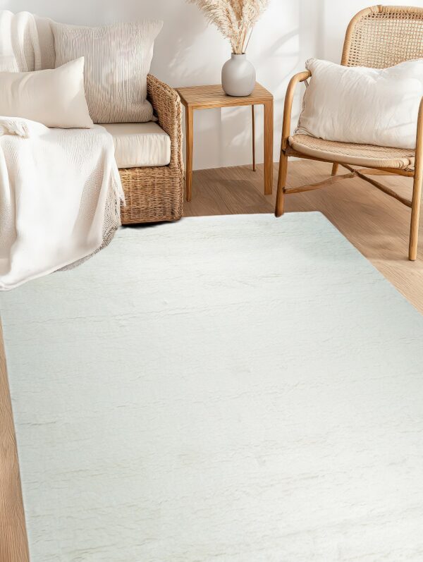 A textured off-white rug covers a wood floor in a brightly lit room with neutral wicker furniture.