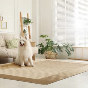 White dog sits on a tan striped rug in a bright, minimalist living room with a light wood futon.