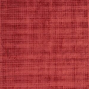 Textured red rug surface with varying shades of color and a visible woven cross-hatch design.