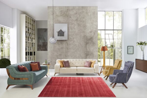 Red low-pile rug centering a bright living room with two modern sofas and textured gray walls.