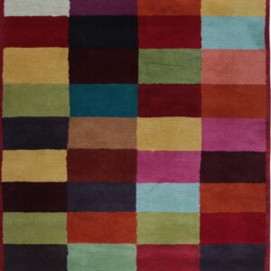 Multicolored rug with a plush pile and a checkerboard pattern of rectangular blocks bordered in dark red.