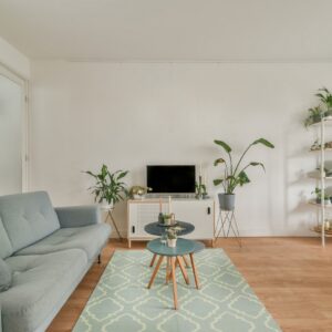Light blue and cream geometric rug placed under nested tables on light wood flooring in a bright room.