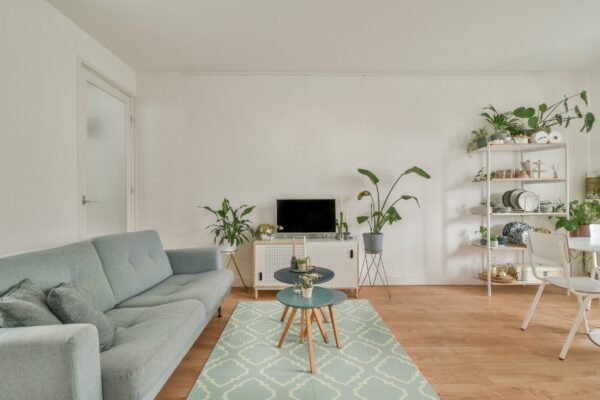 Light blue and cream geometric rug placed under nested tables on light wood flooring in a bright room.