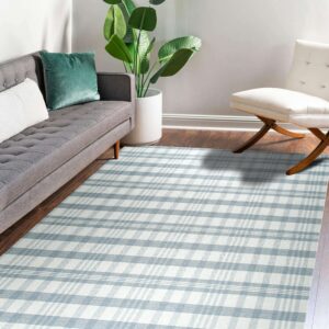 A light blue and white plaid rug anchors a modern living room with a gray sofa and wood floors.