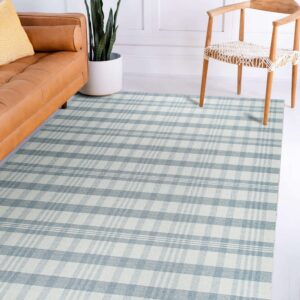 A low-pile blue and white plaid rug lies between a tan leather sofa and a light wood chair.