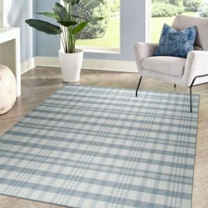 A low-pile blue and white plaid rug sits beneath a modern armchair on chevron wood flooring in a bright room.