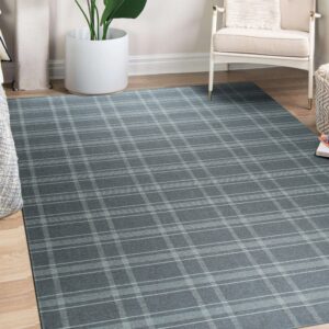 Dark gray plaid rug placed under a white armchair and a large green potted plant on wood flooring.