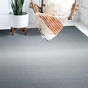 Striped gray and light gray rug with an ombre design under a rattan chair and a potted snake plant.