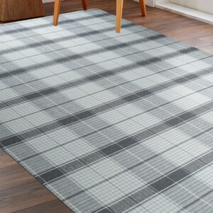 A gray and white plaid rug covers dark wood flooring beneath light wood chair legs and a planter.