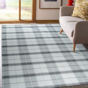 A gray and white plaid rug is placed on dark flooring partially covered by a light beige sofa.