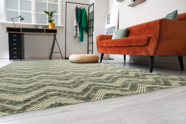 Textured green rug with beige zig-zag pattern anchors a brightly lit room with a burnt orange couch.