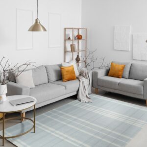 Light blue plaid rug centering a living room with gray furniture and gold lamps.