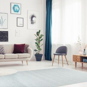 Light blue subtly textured rug on light wood floor next to a cream sofa and gallery wall.