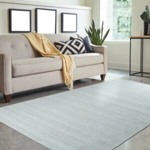Light gray subtly striped rug anchors a living area with a neutral sofa and large sunlit windows.