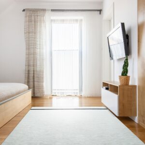 Light gray low-pile rug with a black stripe accents a bright room with hardwood floors and wood furniture.