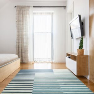 Blue and white striped rug featuring color blocks sits on hardwood floor in a bright bedroom.